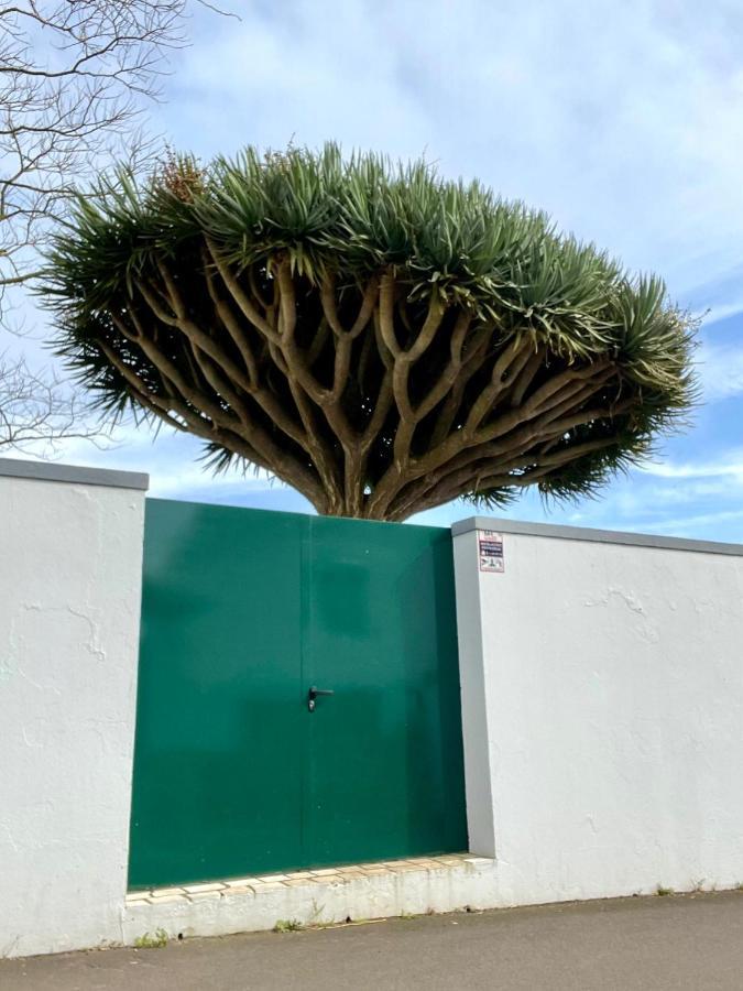 Casa As Sete Villa Angra do Heroísmo Kültér fotó